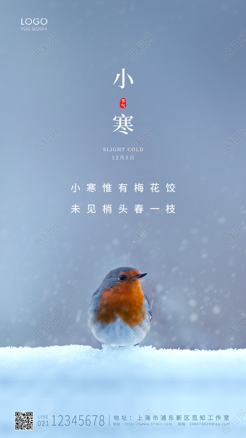 蓝色简约风格小寒ui手机海报设计