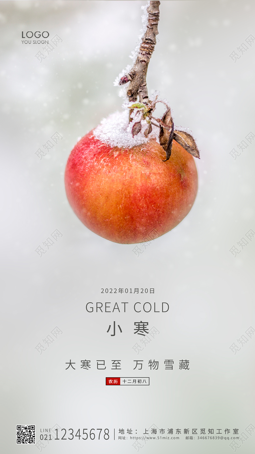 灰色简约风格小寒UI手机海报设计