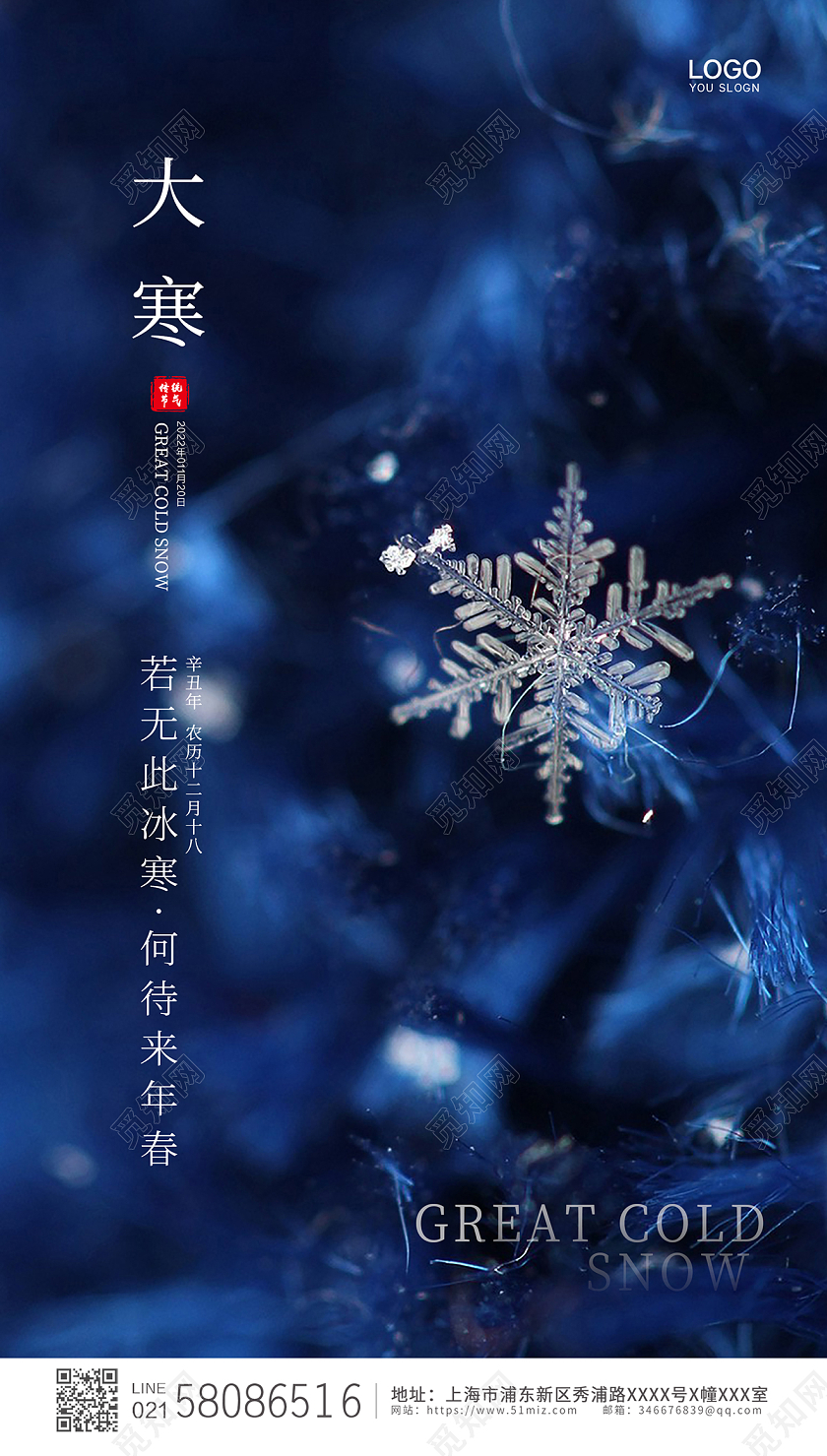 蓝色简约大气雪花24节气传统节气大寒ui手机宣传海报大寒海报
