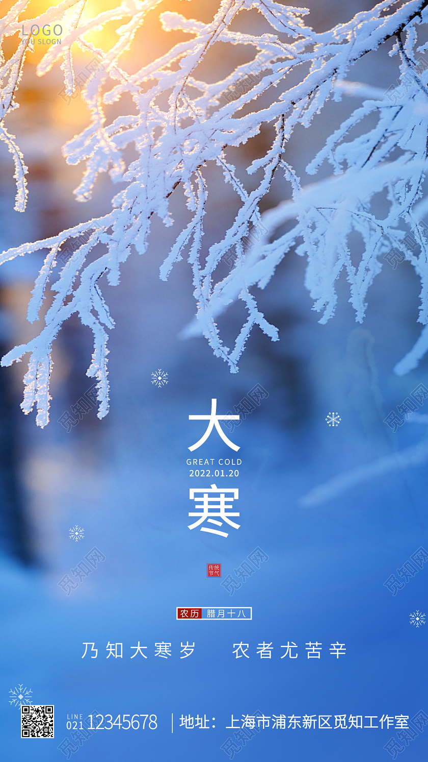 蓝色简约二十四节气大寒大寒手机UI海报设计大寒海报