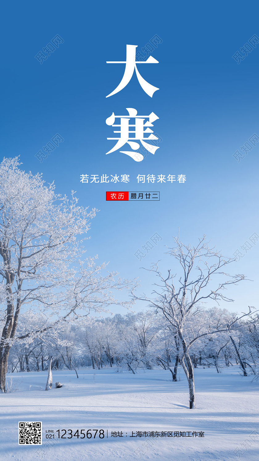 蓝色写实风格大寒传统节气大寒手机海报大寒海报
