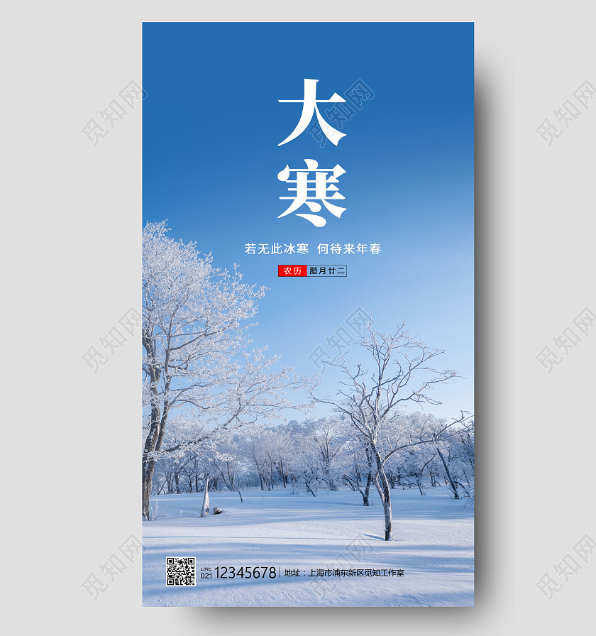 蓝色写实风格大寒传统节气大寒手机海报大寒海报