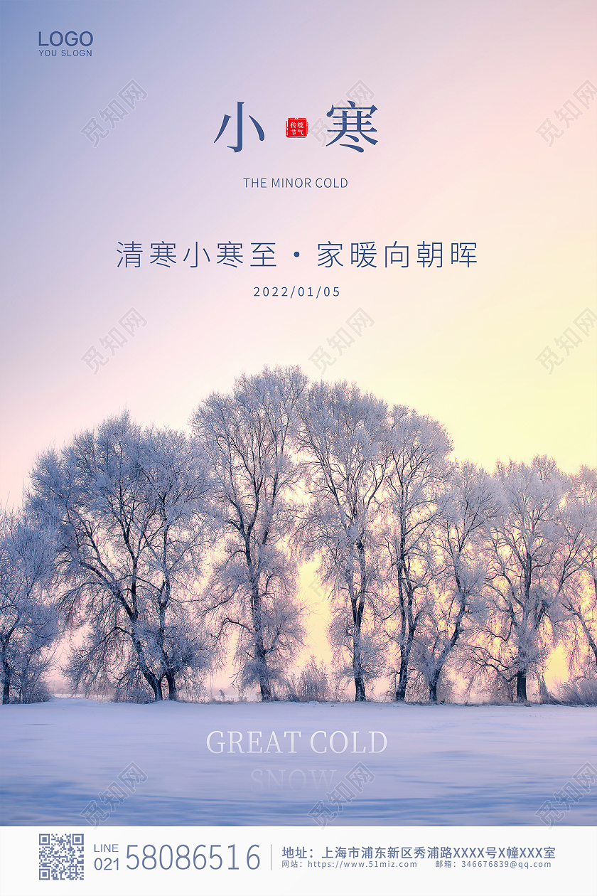 时尚简约大气实拍二十四节气小寒宣传海报