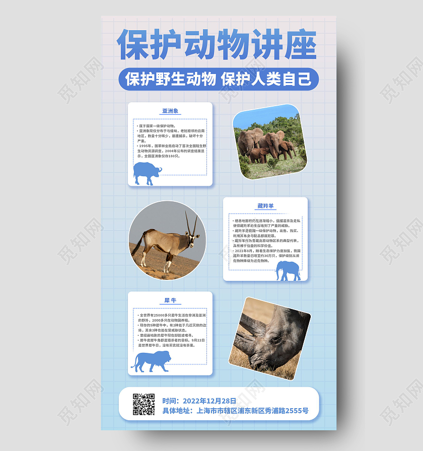 保护动物知识讲座手机海报模板设计