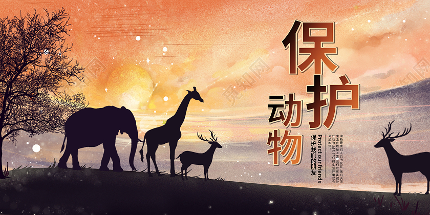 黄色手绘世界动物日保护动物剪影保护动物展板设计