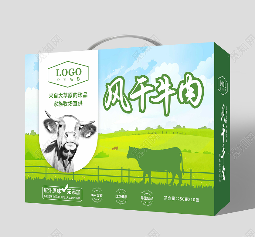 绿色清新插画干牛肉手提包装礼盒牛肉包装