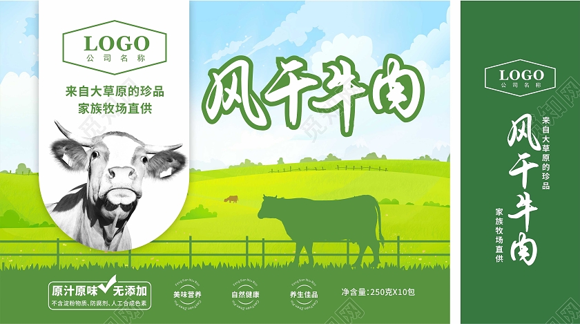 绿色清新插画干牛肉手提包装礼盒牛肉包装