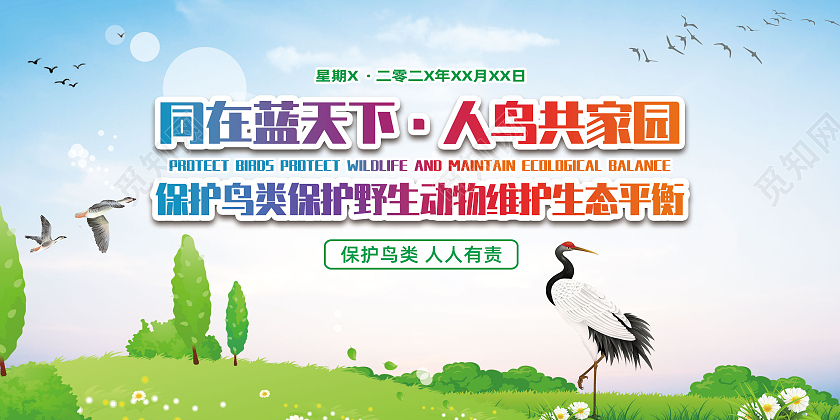 保护鸟类野生动物维护生态平衡宣传展板保护动物