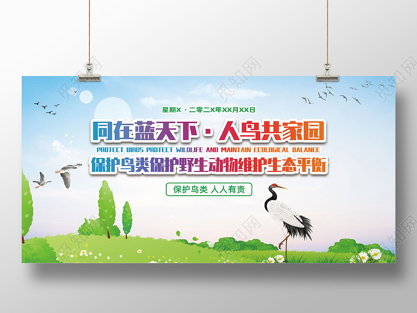 保护鸟类野生动物维护生态平衡宣传展板保护动物
