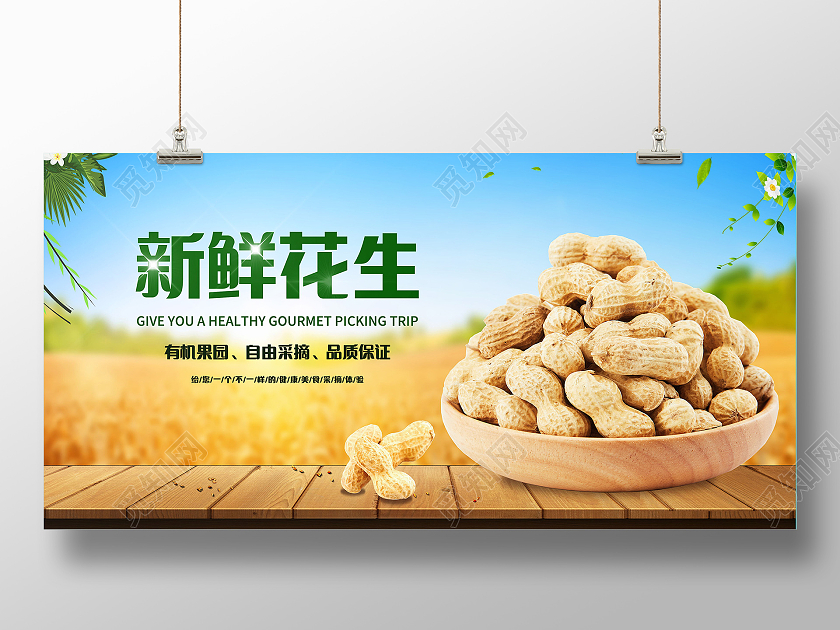新鲜花生有机花生展板模板设计