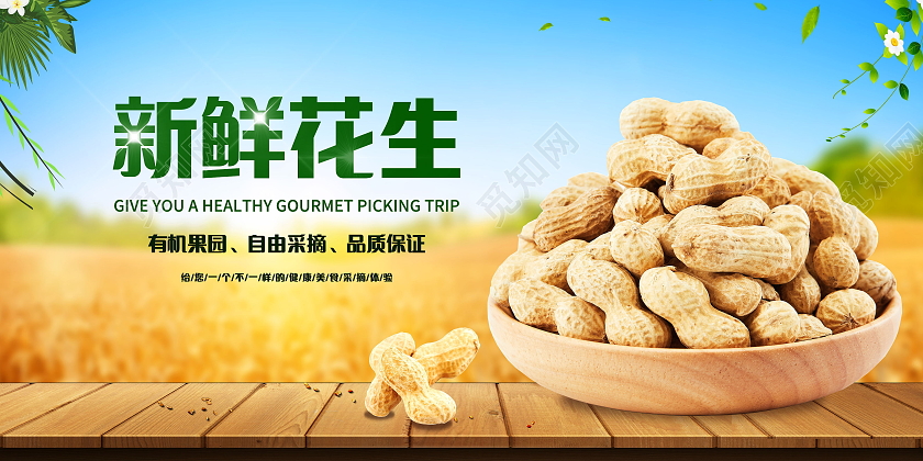 新鲜花生有机花生展板模板设计