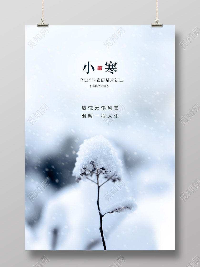 蓝色简约小寒传统二十节气海报设计