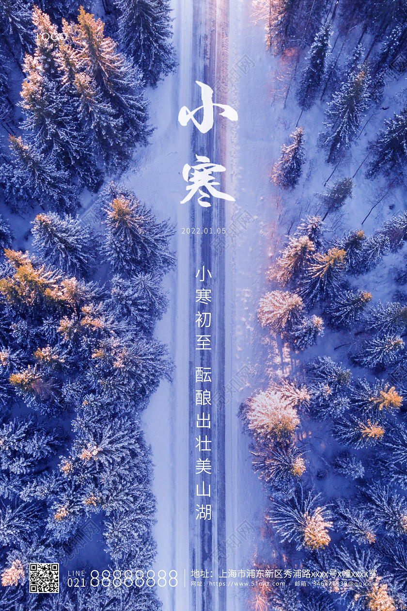 紫色简约二十四节气小寒海报小寒海报