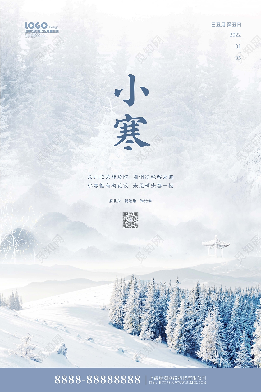 水墨中国风小寒传统节气宣传海报