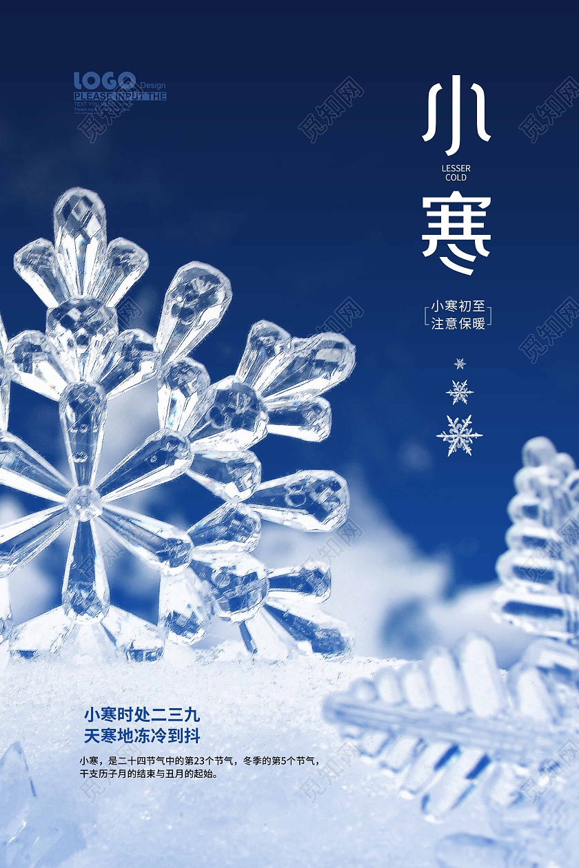 蓝色大气摄影小寒传统节气宣传海报