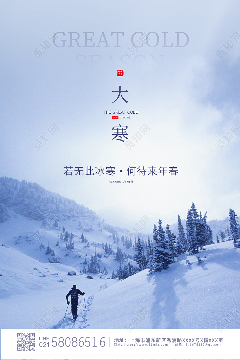 小清新简约大气实拍雪景二十四节气大寒海报