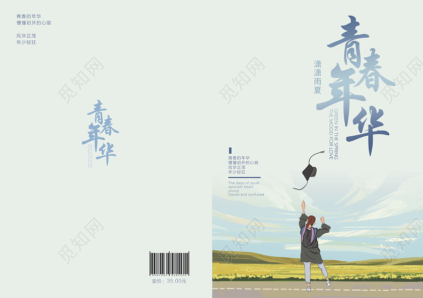 浅蓝手绘插画青春年华书籍青春小说封面小说封面