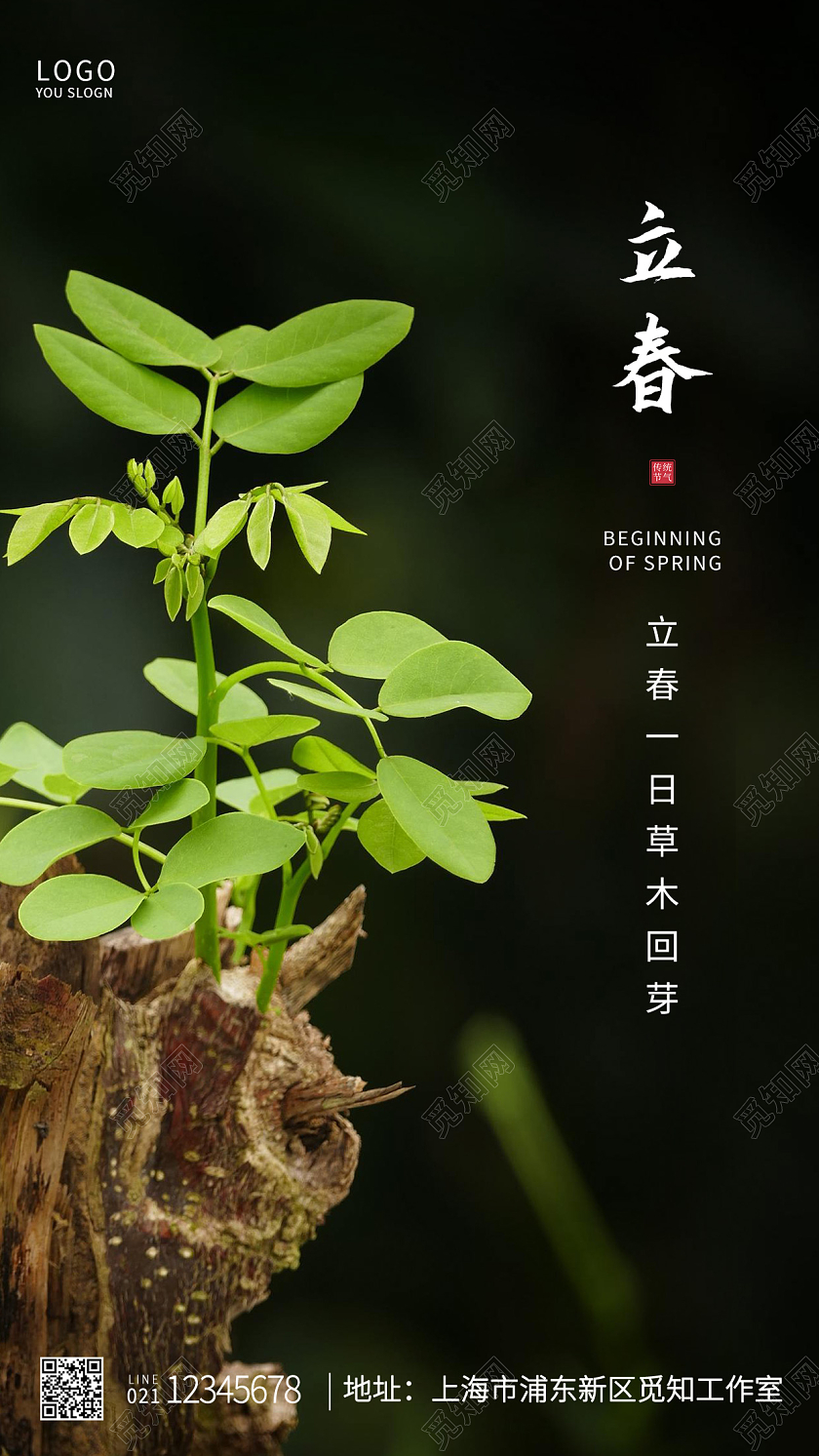 黑色简约二十四节气立春立春手机UI海报设计立春海报