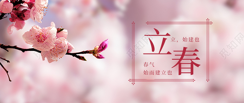 花实景简约立春首图微信公众号首图