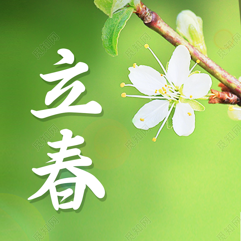 绿色实景立春次图微信公众号次图