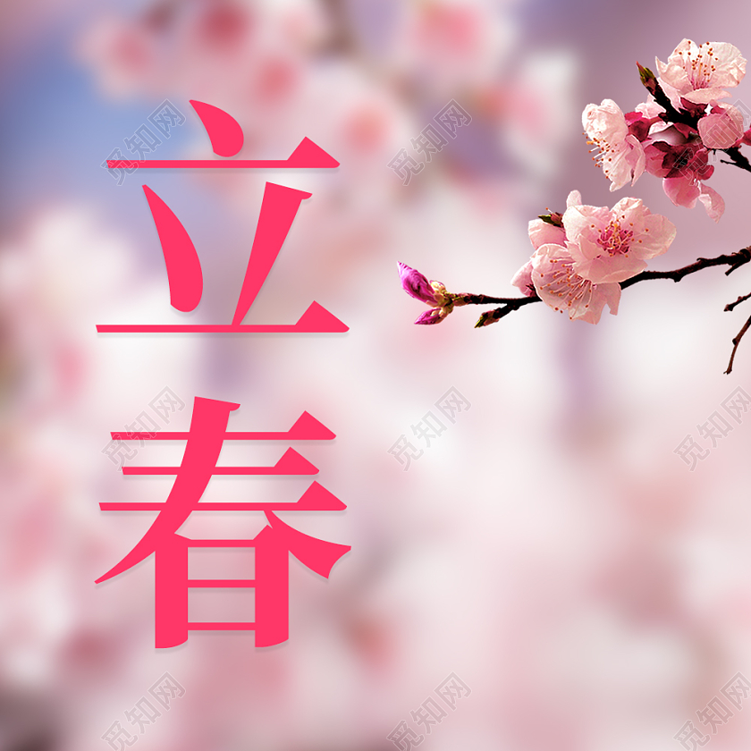 粉色实景立春次图微信公众号次图