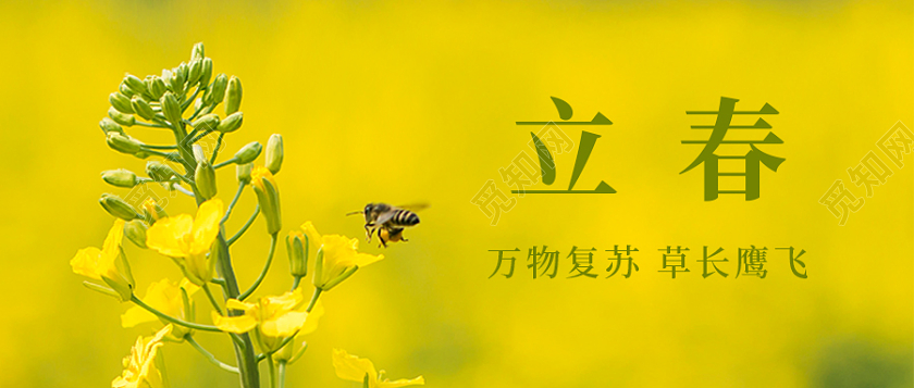 黄色实景背景立春微信公众号首图