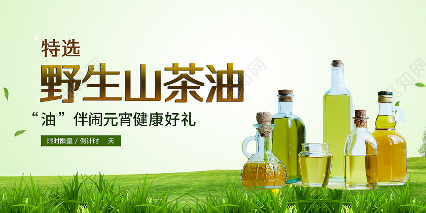 绿色小清新特选野生山茶油促销活动展板山茶油展板