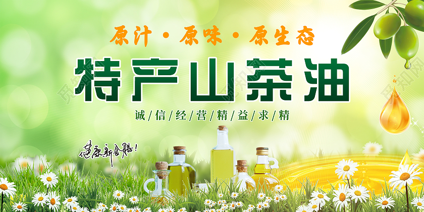 绿色简约特产山茶油宣传活动展板山茶油展板
