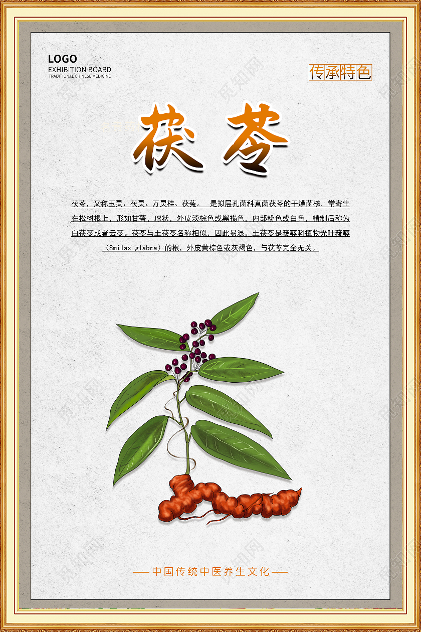 纸质背景组相框大气中国风茯苓中药海报茯苓海报