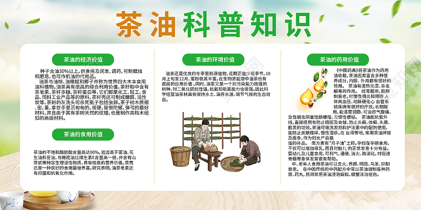 浅蓝色创意简洁茶油科普知识宣传展板设计山茶油展板