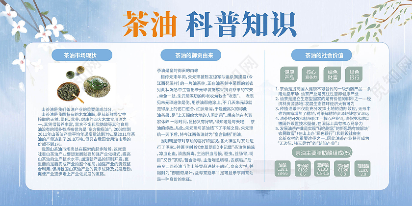 浅蓝色创意大气简洁茶油科普知识宣传展板设计山茶油展板