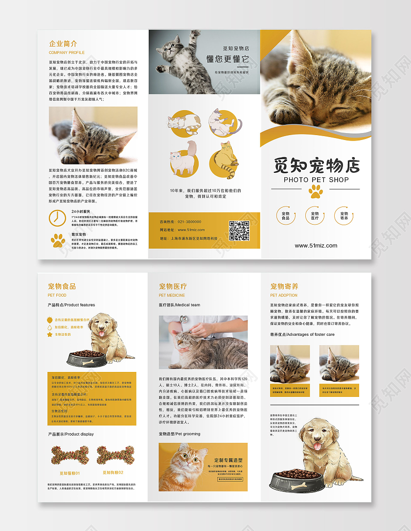 黄色简约觅知宠物店三折页