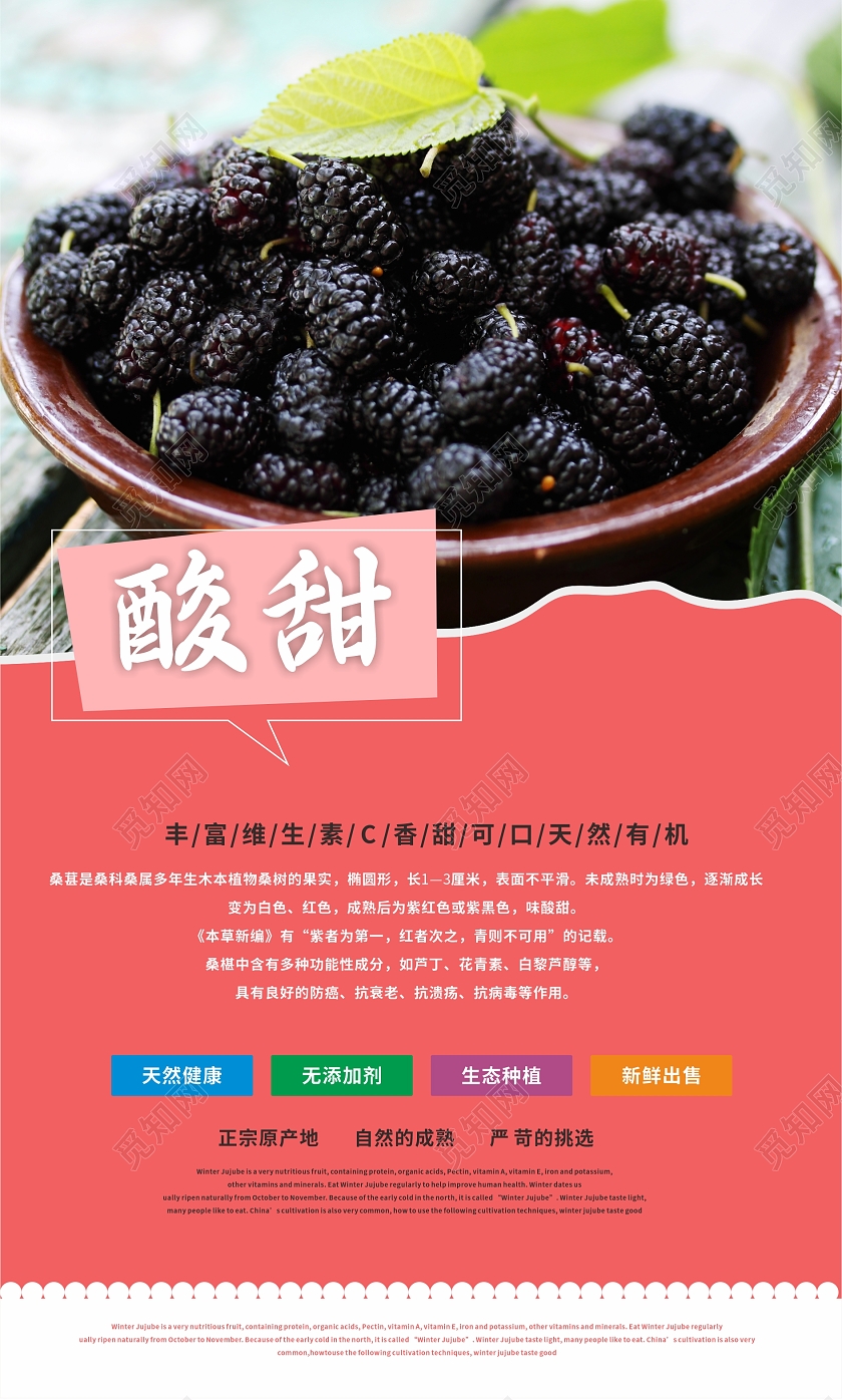 彩色健康桑葚套图营养多汁可口