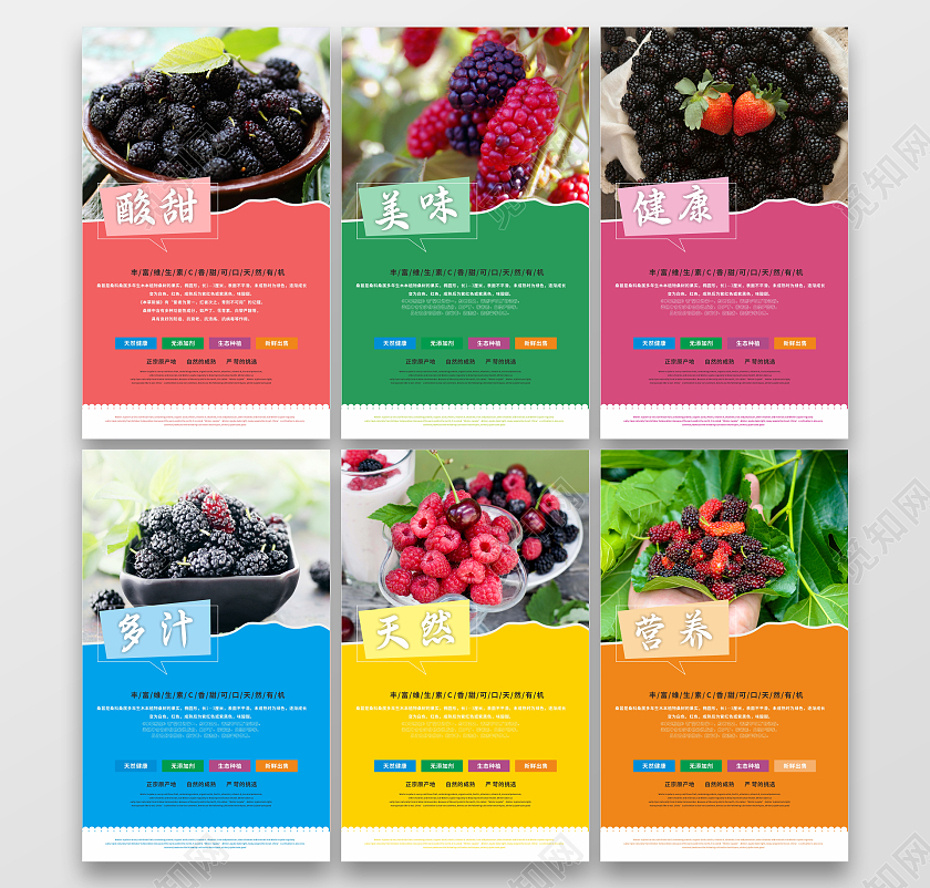 彩色健康桑葚套图营养多汁可口