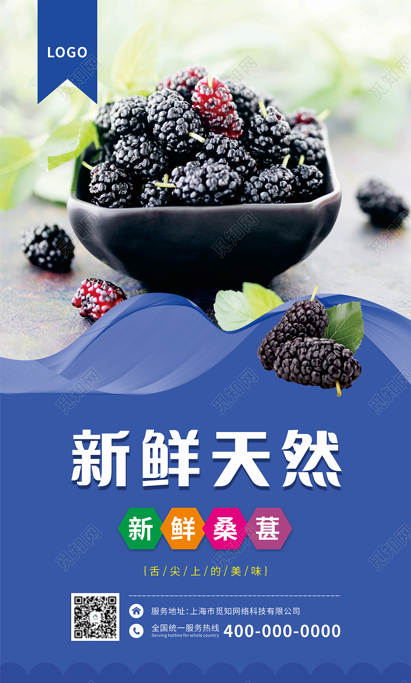 蓝色简约风格桑葚套图