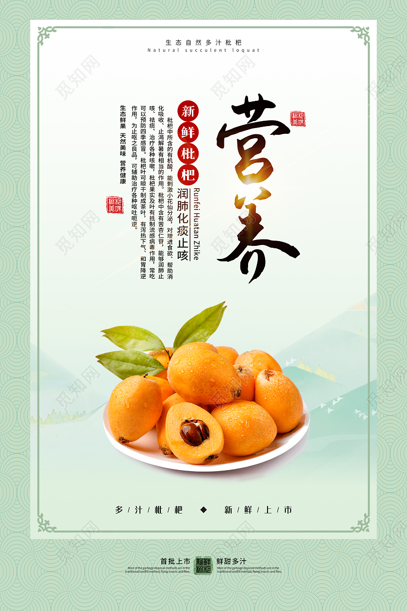 绿色清新简约水果新鲜多汁枇杷套图