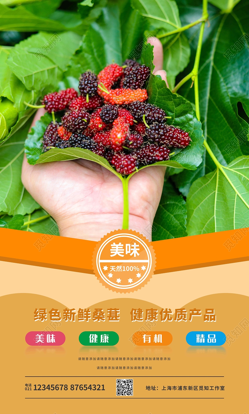 彩色简约有机桑葚海报套图
