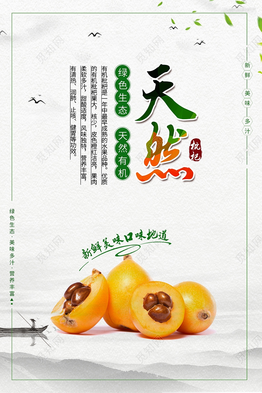 中国风新鲜水果枇杷套图简约海报