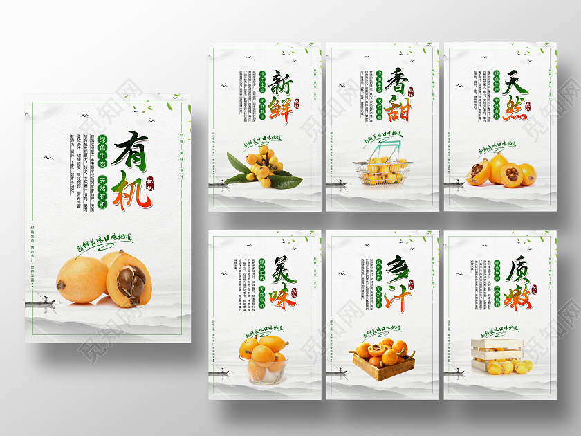 中国风新鲜水果枇杷套图简约海报