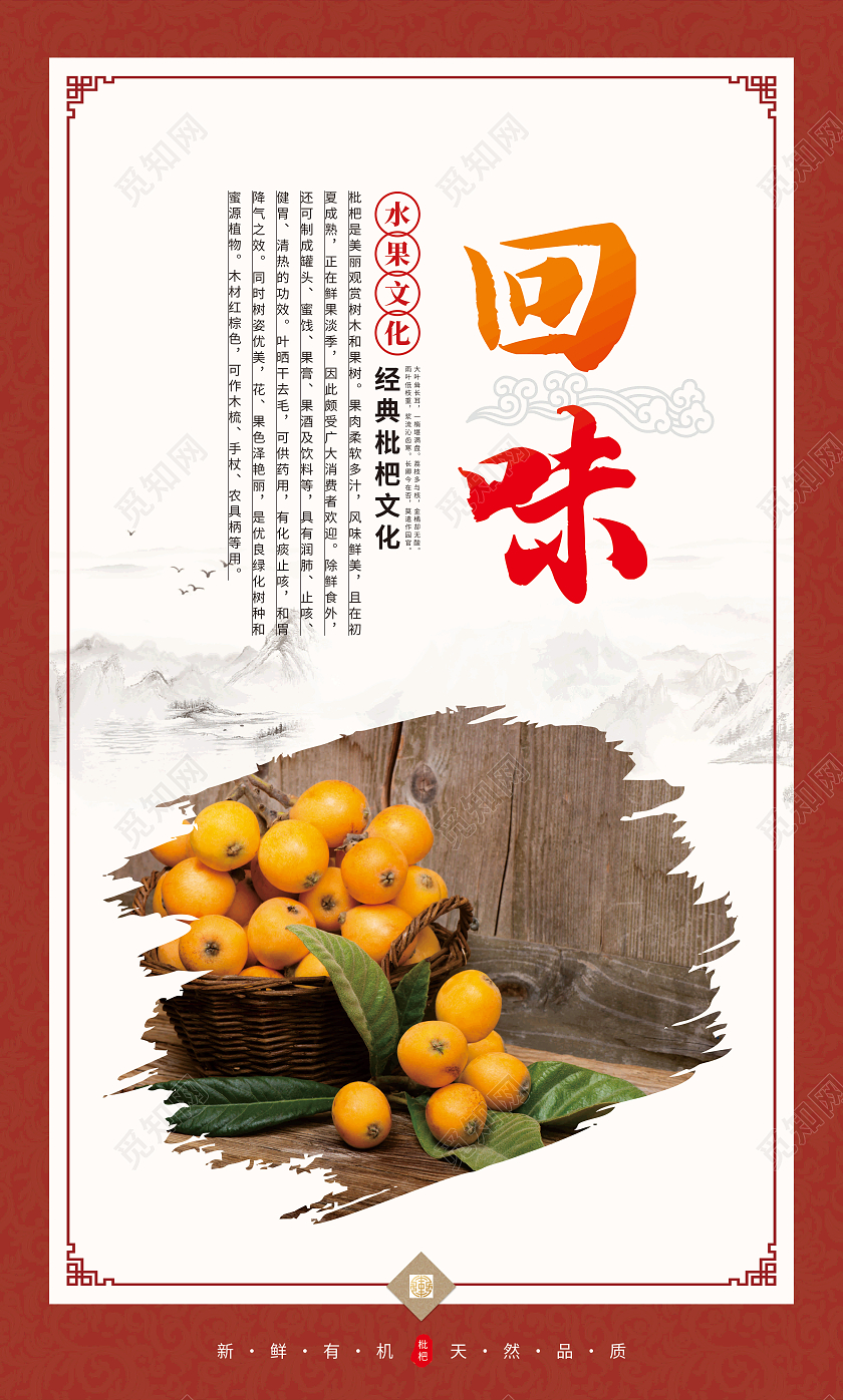 红色复古画框新鲜枇杷套图