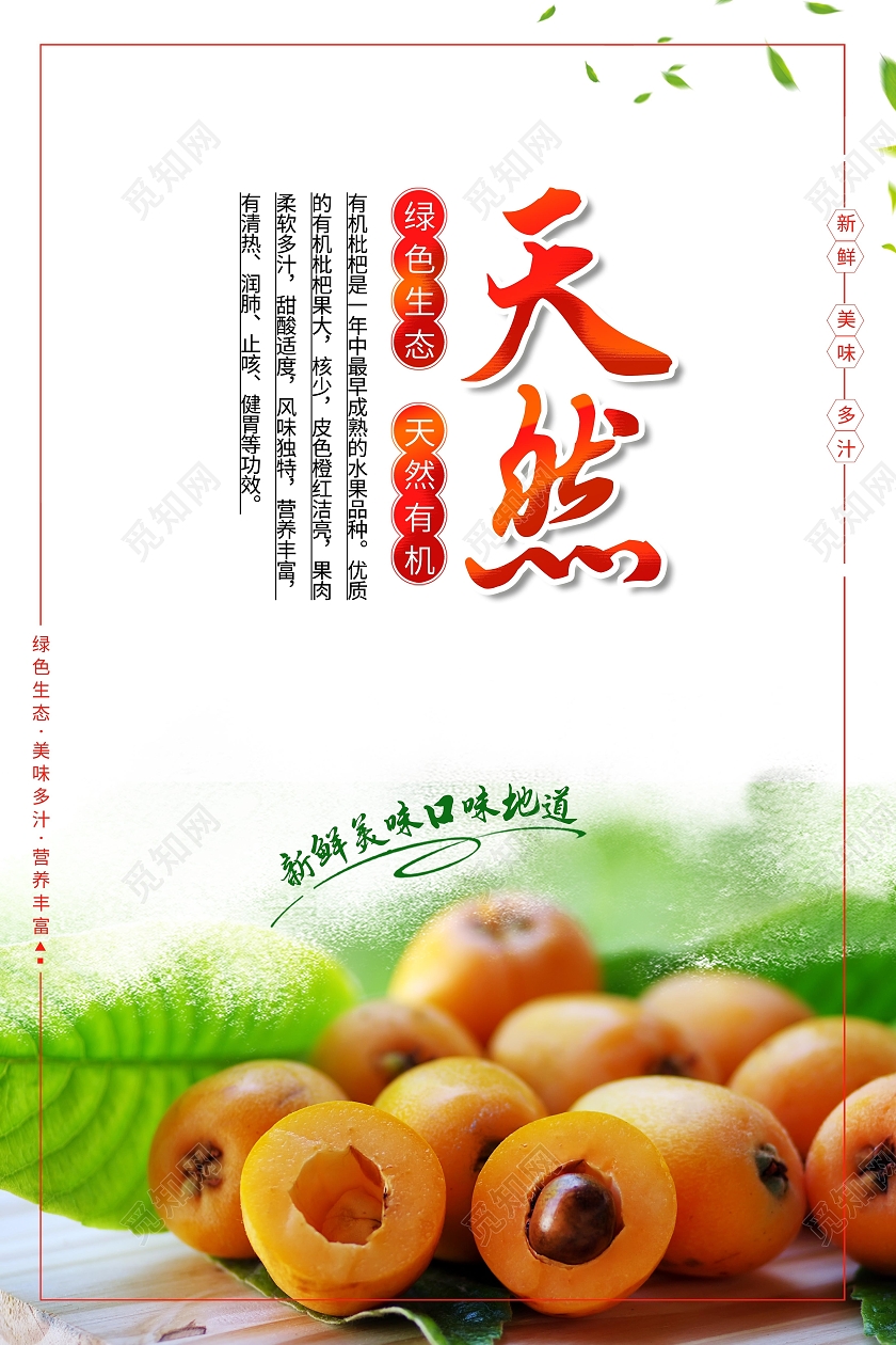 新鲜水果枇杷套图简约海报