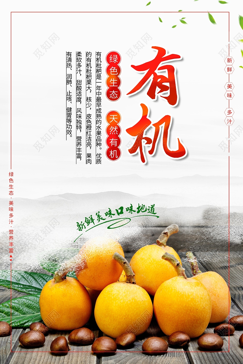 新鲜水果枇杷套图简约海报