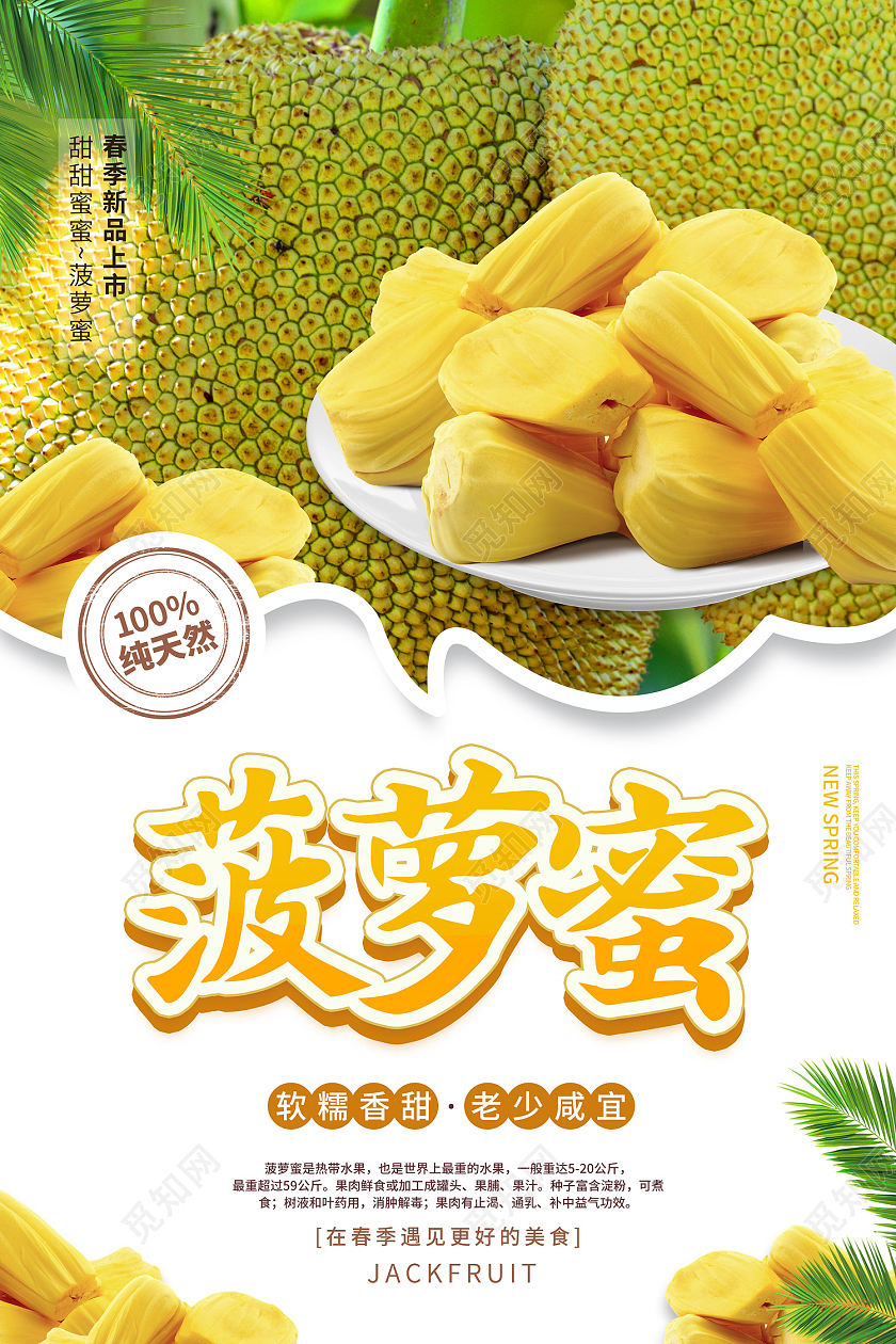 白色简约清新树叶水果菠萝蜜海报