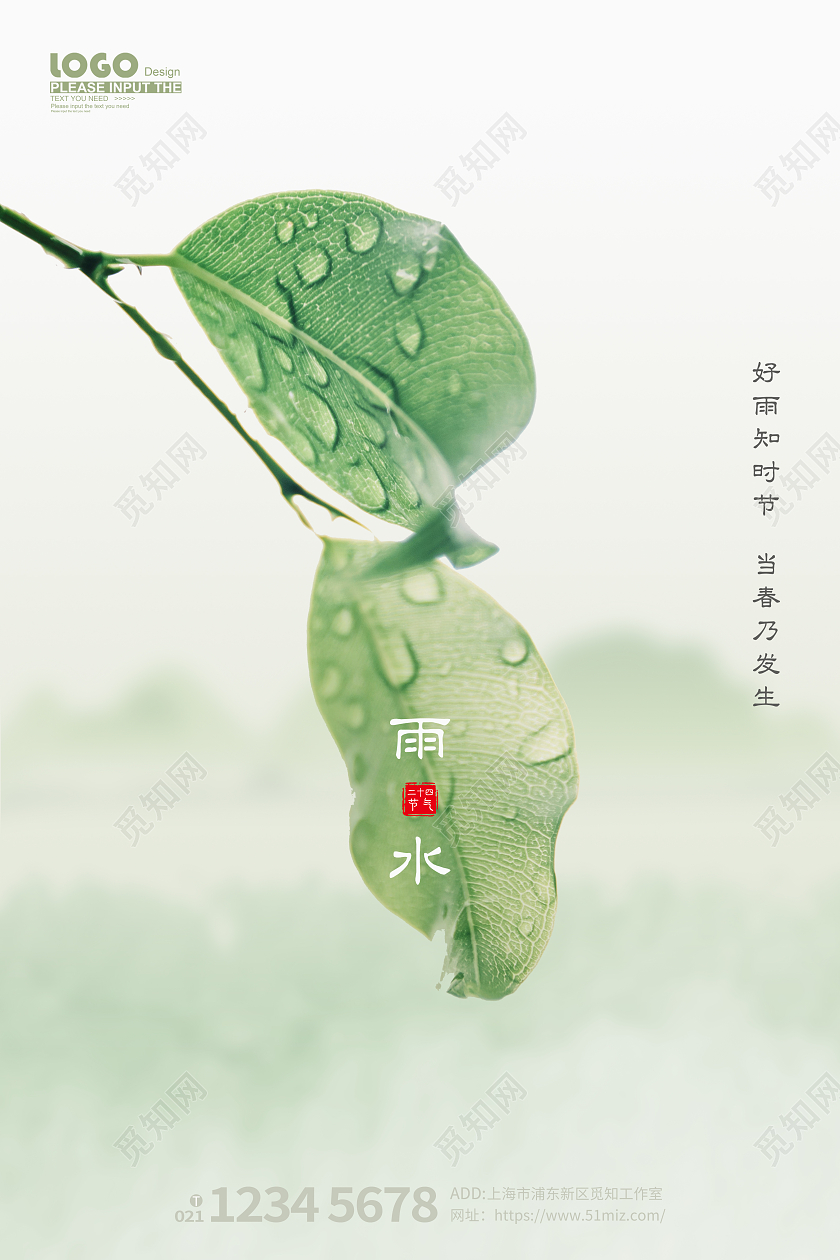 淡雅二十四节气雨水海报