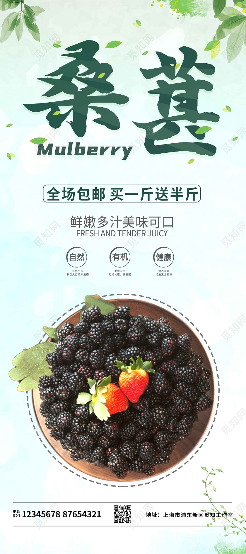 绿色清新有机健康营养桑葚展架