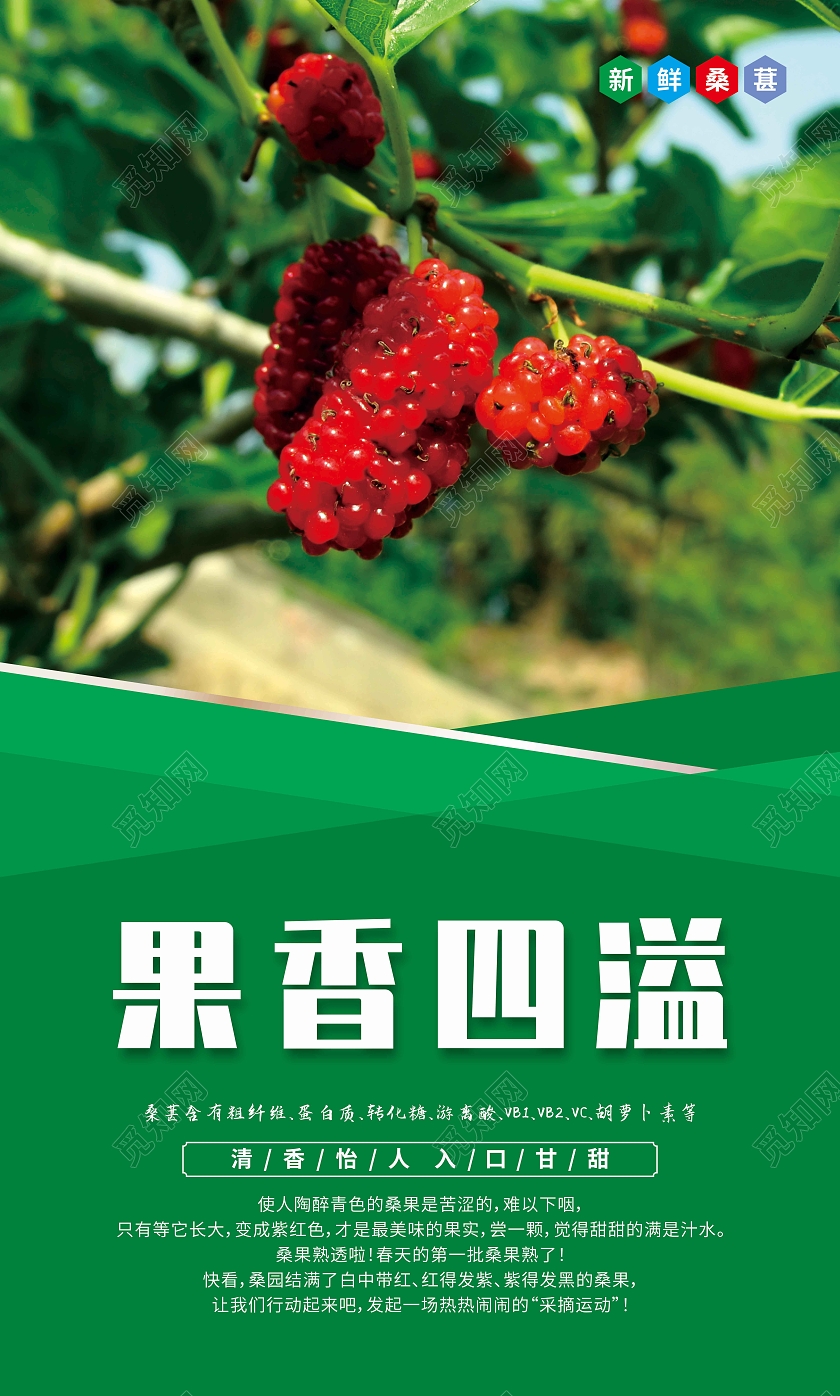 绿色几何新鲜优质桑葚套图