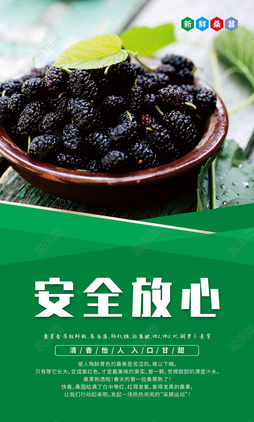 绿色几何新鲜优质桑葚套图