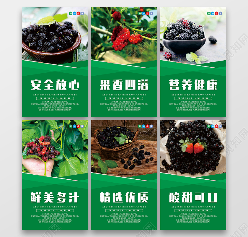 绿色几何新鲜优质桑葚套图