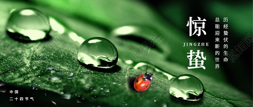 绿色实景背景二十四节气惊蛰微信公众号首图惊蛰二十四节气
