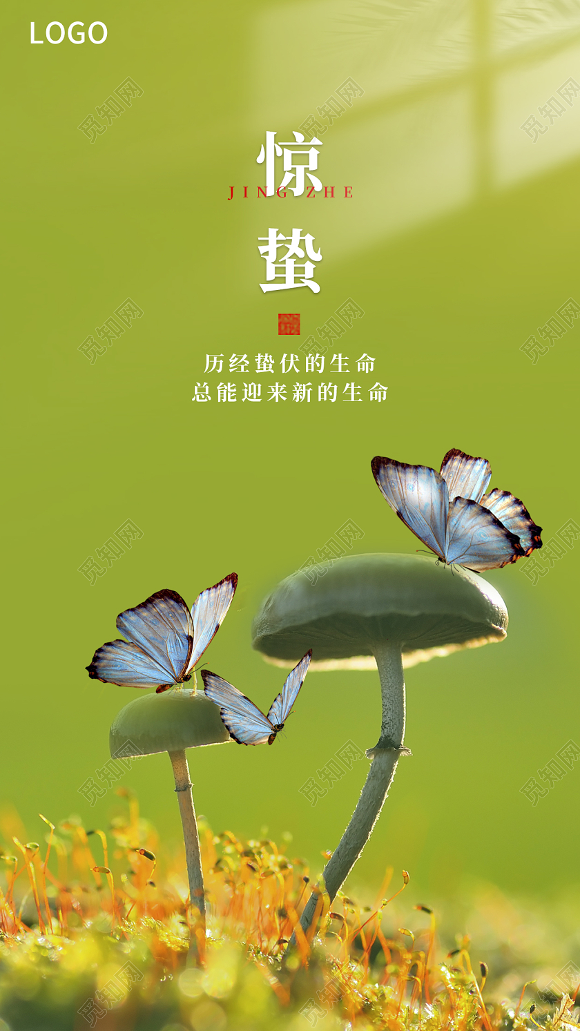 淡绿色简约大气惊蛰手机宣传海报惊蛰二十四节气